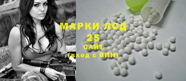 эйфоретик Ельня