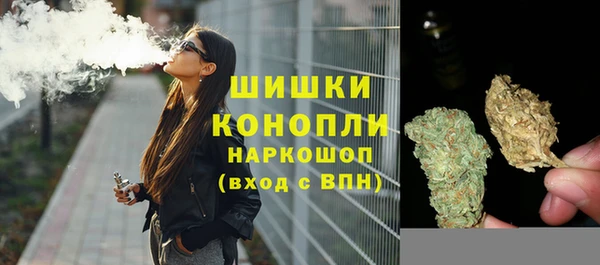 эйфоретик Ельня