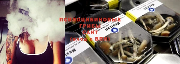 хмурый Елабуга