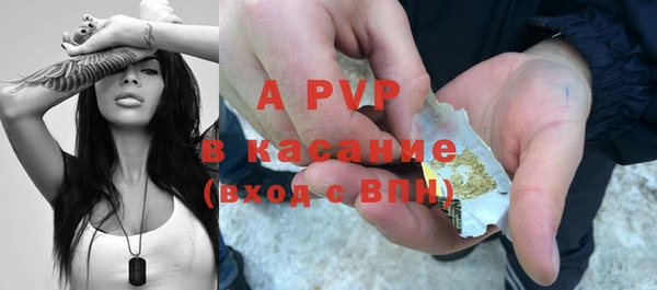 эйфоретик Ельня