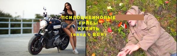 эйфоретик Ельня