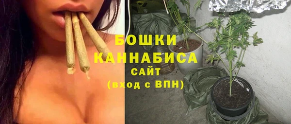 эйфоретик Ельня